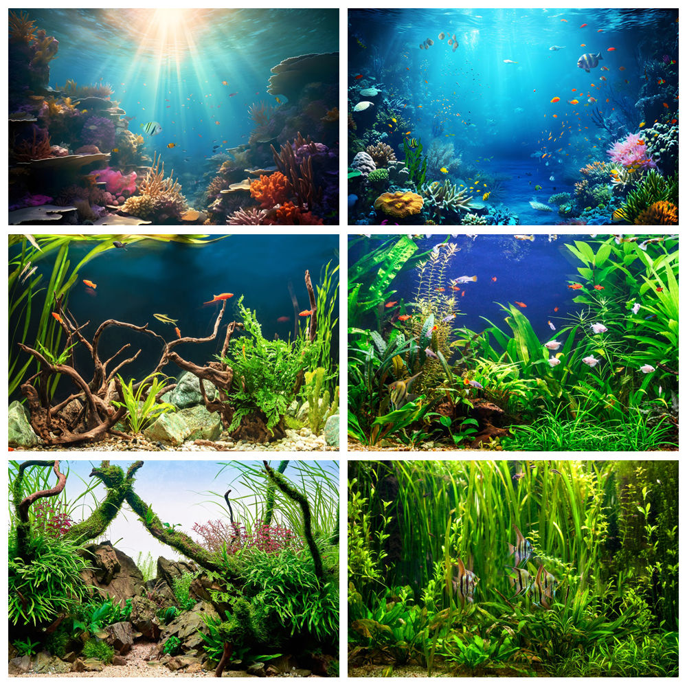 Aquarium Marine World - Sfondo fotografico sotto il mondo del