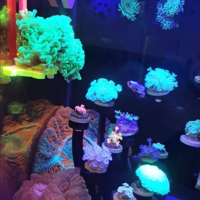 Supporto per rack per fram di  - Marine Aquarium Orp recensione e prezzo