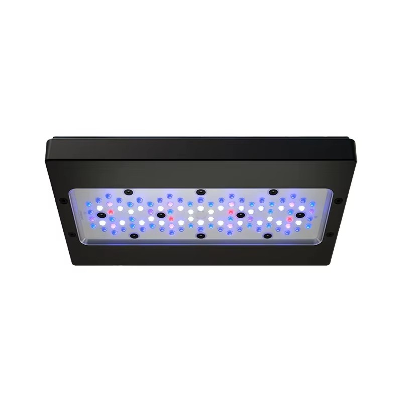 A8 Pro Blu 215W AC 110-240V Co - Marine Aquarium App recensione e prezzo