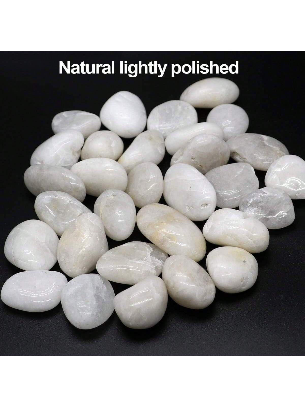 Rocce di fiume Pietre decorati - Aquarium Marine Tank recensione e prezzo
