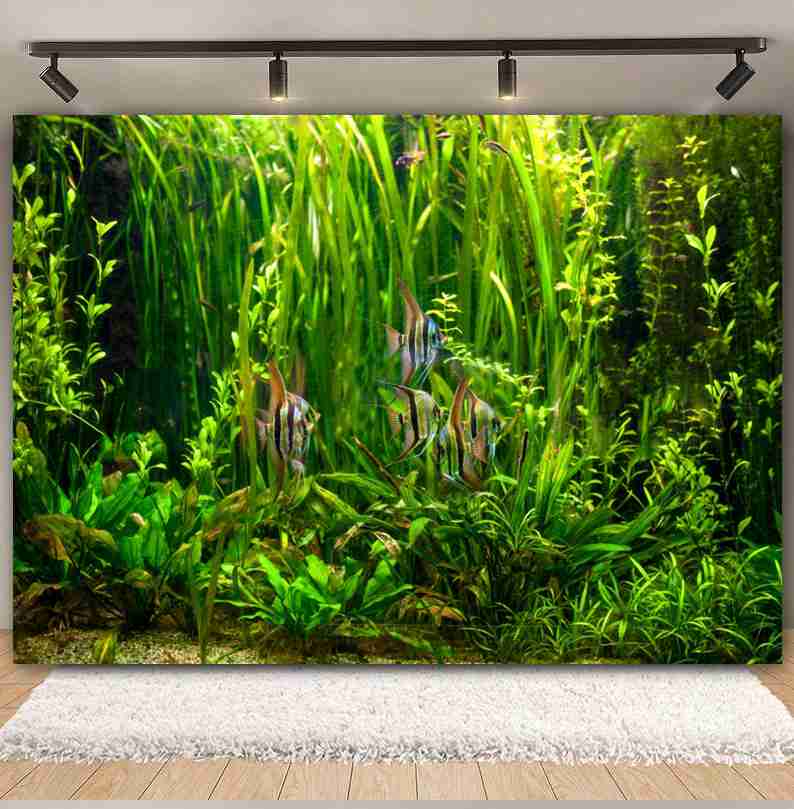 Sfondo fotografico sotto il mo - Aquarium Marine World recensione e prezzo
