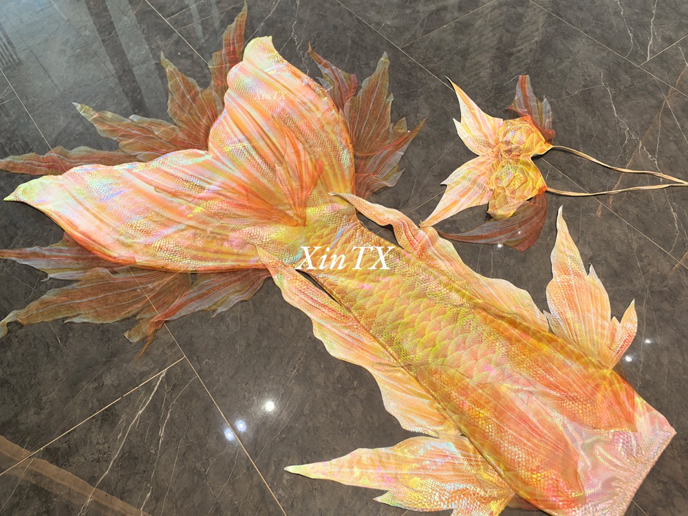 Professionale adulto coda di s - Aquarium & Marine Museum Universiti Malaysia Sabah Kota Kinabalu Sabah Reviews recensione e prezzo
