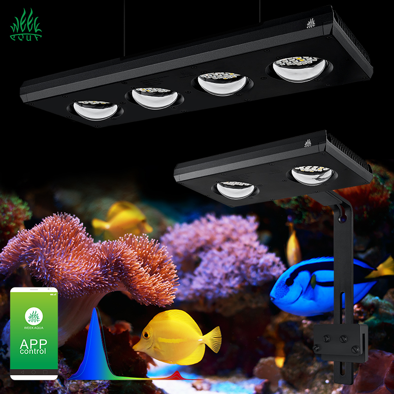 ZXY Vendita Calda WEEKAQUA Z25 - Marine Aquarium App recensione e prezzo