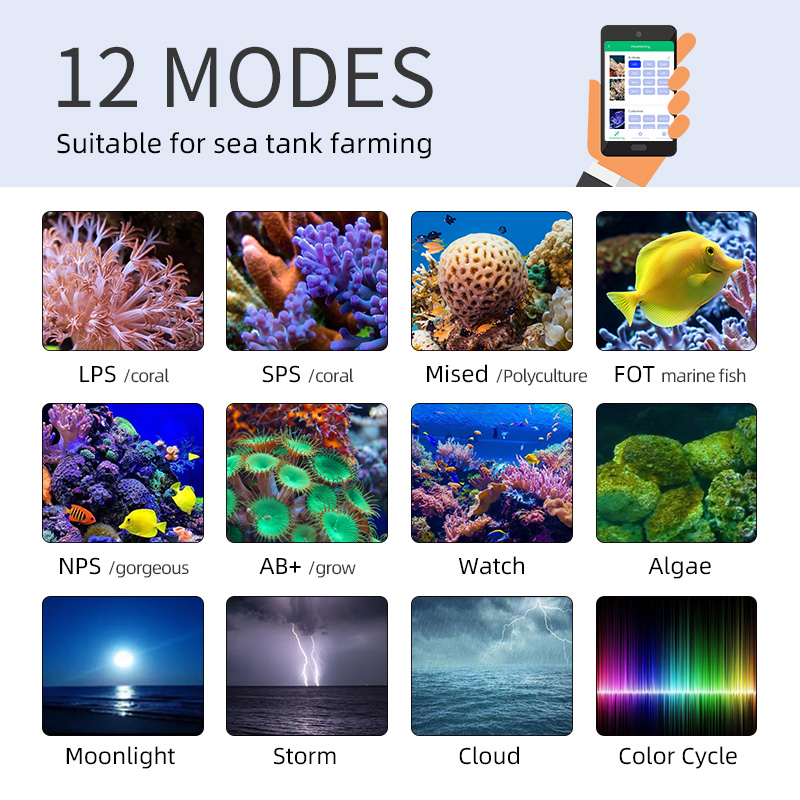 ZXY Vendita Calda WEEKAQUA Z25 - Marine Aquarium App recensione e prezzo