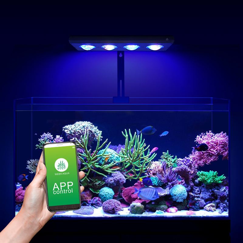 ZXY Vendita Calda WEEKAQUA Z25 - Marine Aquarium App recensione e prezzo