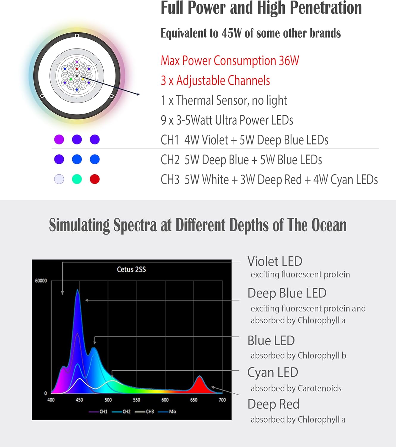 Cetus 2SS Luce LED Intelligent - Marine Aquarium App recensione e prezzo