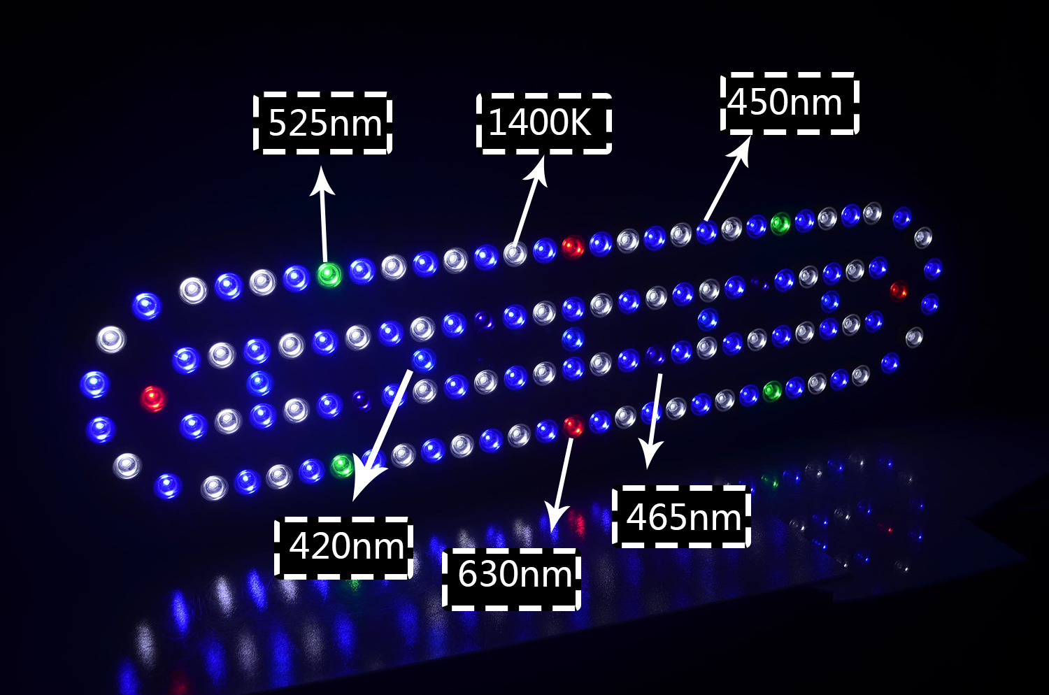 Lampada LED per Acquario con C - Marine Aquarium App recensione e prezzo