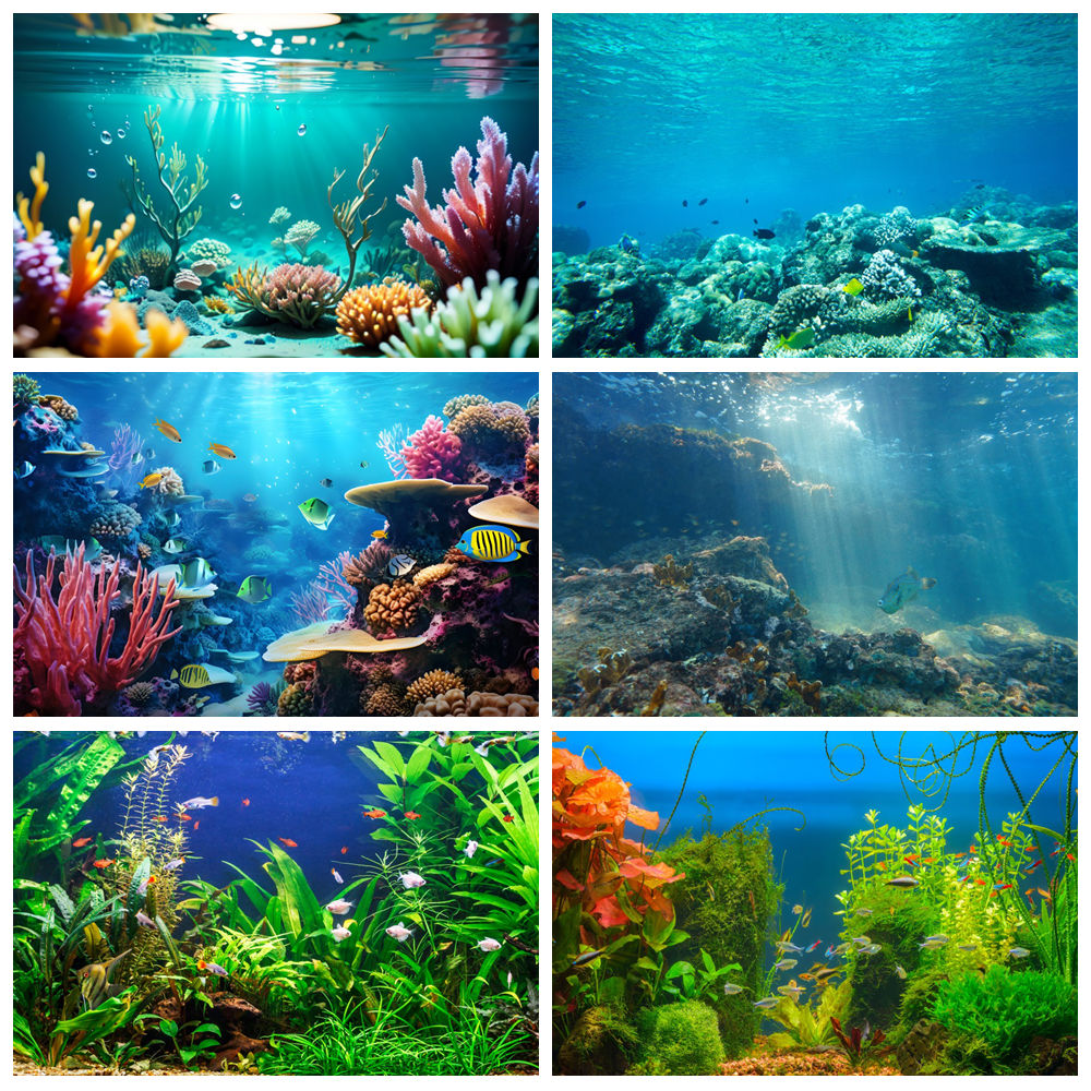 Sfondo fotografico per sfondo  - Aquarium Marine World recensione e prezzo