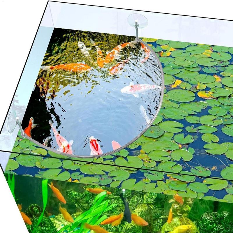 Anello di alimentazione per pe - Aquarium Marine Filter recensione e prezzo