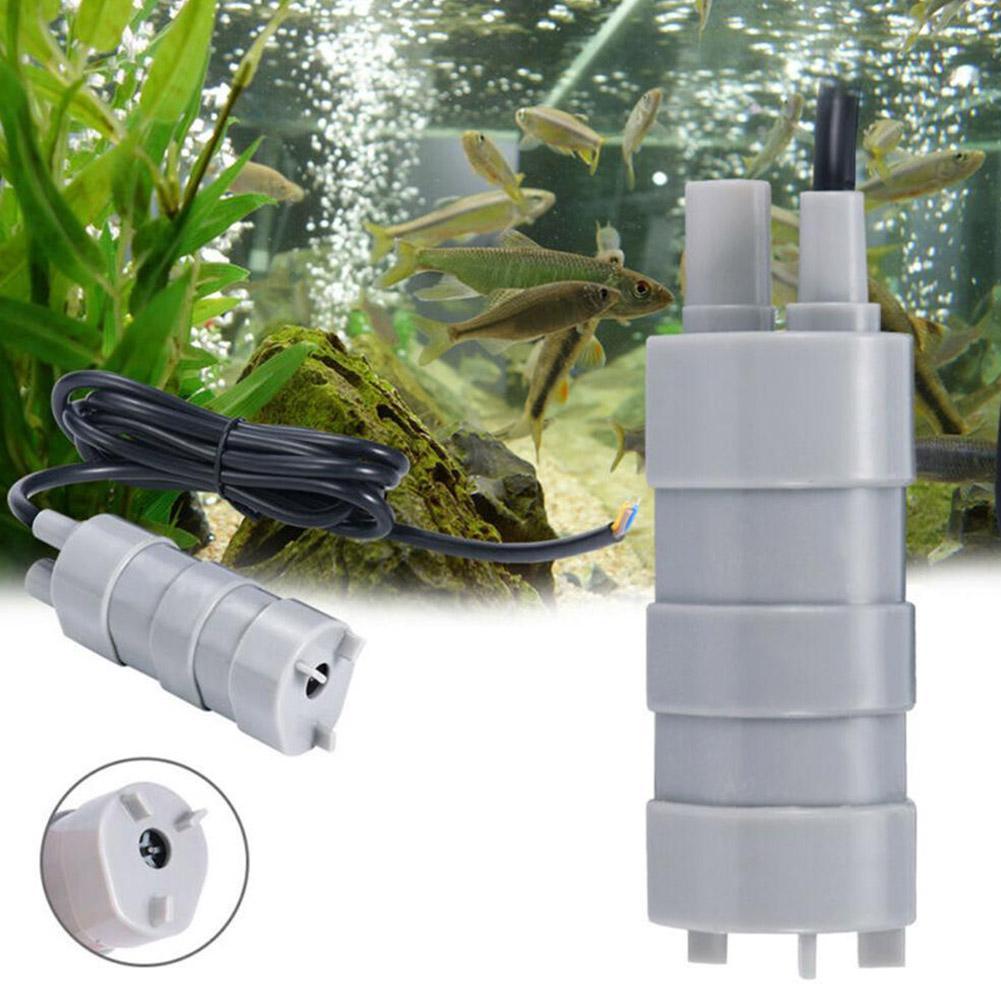 Pompa sommergibile per camper  - Aquarium & Marine Museum Universiti Malaysia Sabah Kota Kinabalu Sabah Reviews recensione e prezzo
