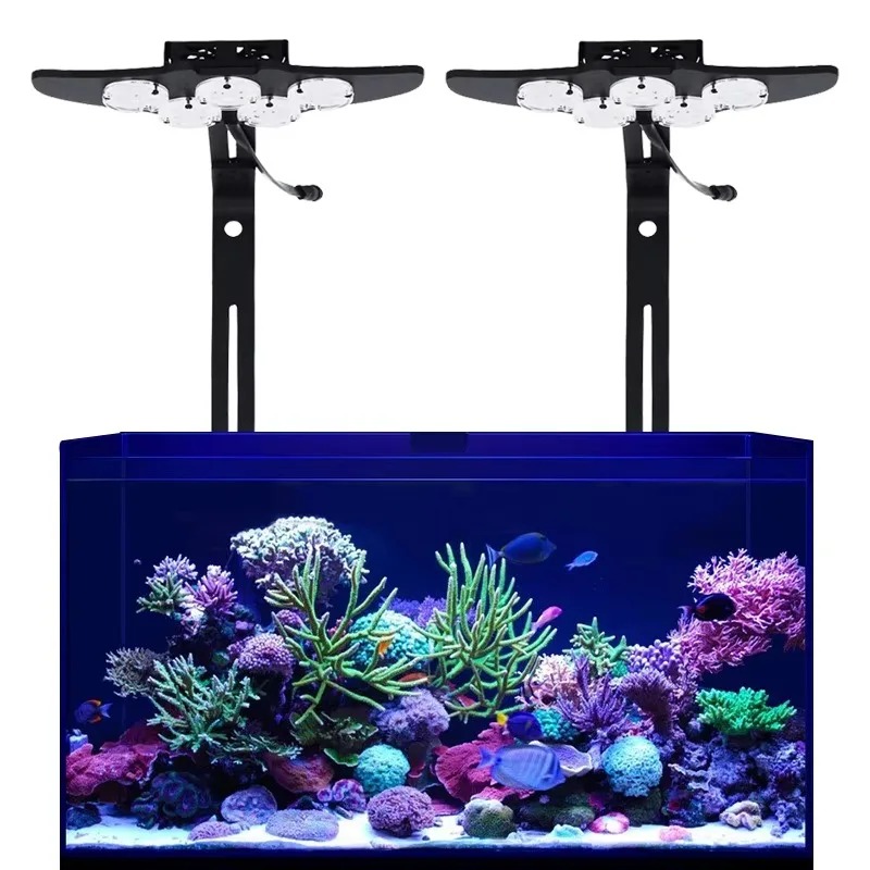 Lampada LED per Acquario ad Al - Marine Aquarium App recensione e prezzo
