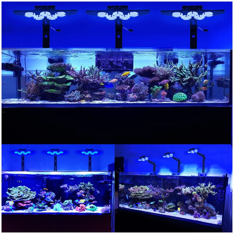 Lampada LED per Acquario ad Al - Marine Aquarium App recensione e prezzo