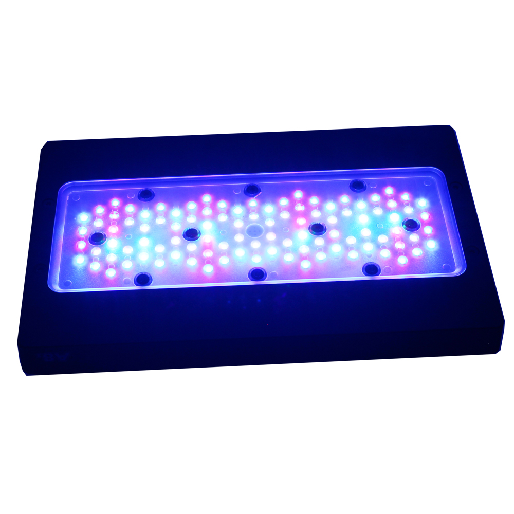 Illuminazione LED per Acquario - Marine Aquarium App recensione e prezzo