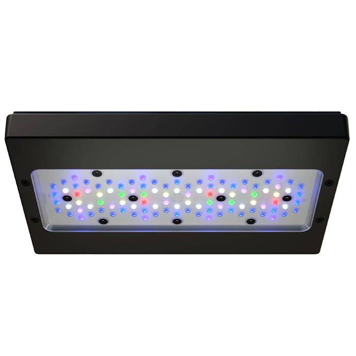 A8 PRO III Max e Blue 245W Luc - Marine Aquarium App recensione e prezzo