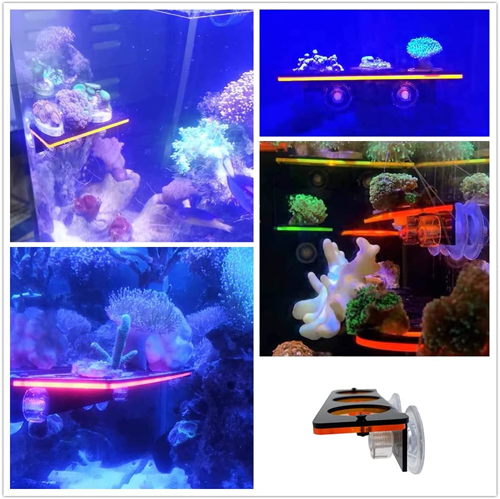 Staffa per tappo Frag in coral - Marine Aquarium Orp recensione e prezzo